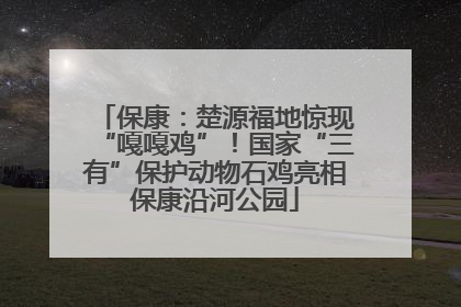 保康：楚源福地惊现“嘎嘎鸡”！国家“三有”保护动物石鸡亮相保康沿河公园