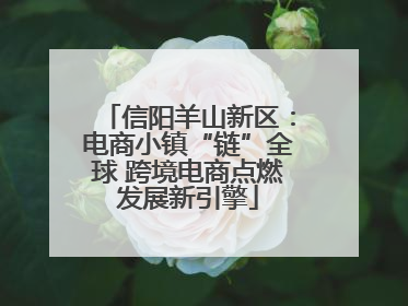 信阳羊山新区：电商小镇“链”全球 跨境电商点燃发展新引擎