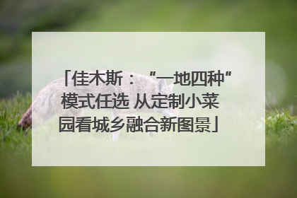 佳木斯：“一地四种” 模式任选 从定制小菜园看城乡融合新图景