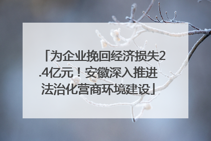 为企业挽回经济损失2.4亿元！安徽深入推进法治化营商环境建设