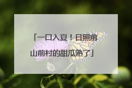 一口入夏！日照前山前村的甜瓜熟了