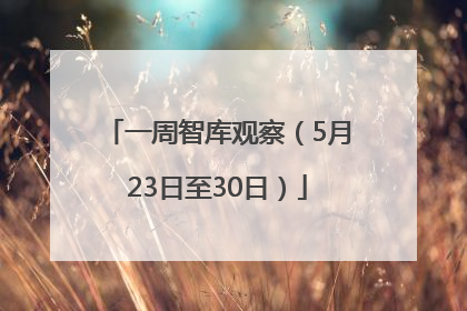 一周智库观察（5月23日至30日）