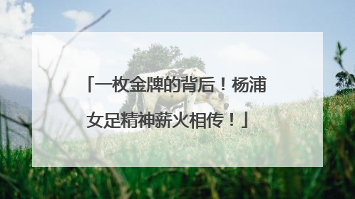 一枚金牌的背后！杨浦女足精神薪火相传！