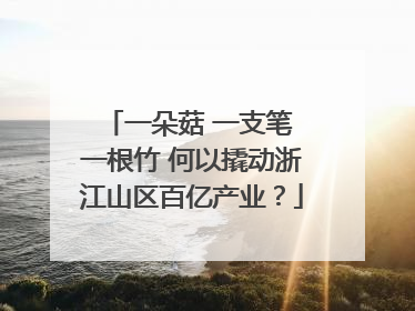 一朵菇 一支笔 一根竹 何以撬动浙江山区百亿产业？