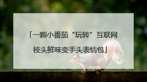 一颗小番茄“玩转”互联网 枝头鲜味变手头表情包