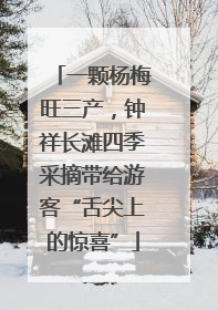 一颗杨梅旺三产，钟祥长滩四季采摘带给游客“舌尖上的惊喜”