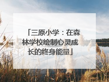 三原小学：在森林学校绘制心灵成长的终身能量