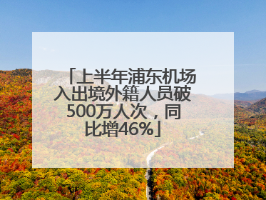 上半年浦东机场入出境外籍人员破500万人次，同比增46%