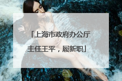 上海市政府办公厅主任王平，履新职