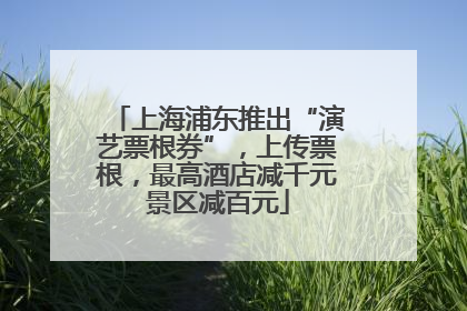 上海浦东推出“演艺票根券”，上传票根，最高酒店减千元景区减百元