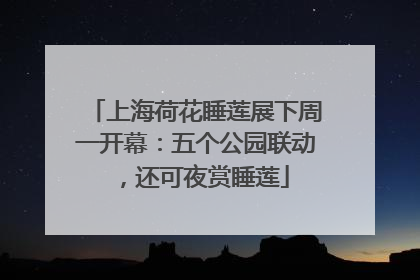 上海荷花睡莲展下周一开幕：五个公园联动，还可夜赏睡莲