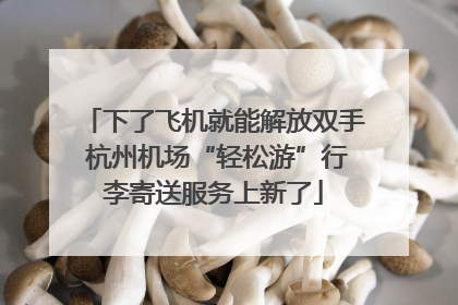 下了飞机就能解放双手 杭州机场“轻松游”行李寄送服务上新了