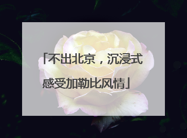 不出北京，沉浸式感受加勒比风情