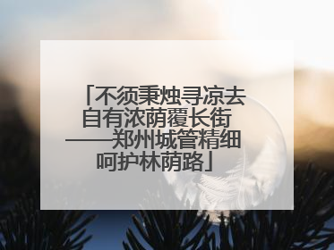不须秉烛寻凉去 自有浓荫覆长街——郑州城管精细呵护林荫路