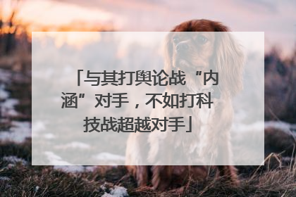 与其打舆论战“内涵”对手，不如打科技战超越对手