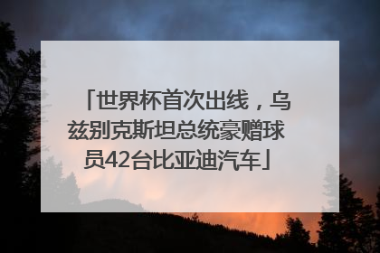 世界杯首次出线，乌兹别克斯坦总统豪赠球员42台比亚迪汽车
