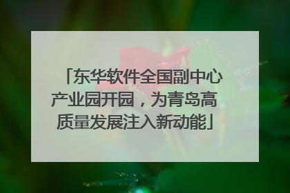 东华软件全国副中心产业园开园，为青岛高质量发展注入新动能