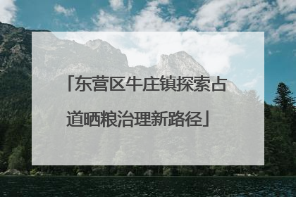 东营区牛庄镇探索占道晒粮治理新路径