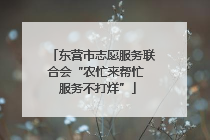 东营市志愿服务联合会“农忙来帮忙 服务不打烊”