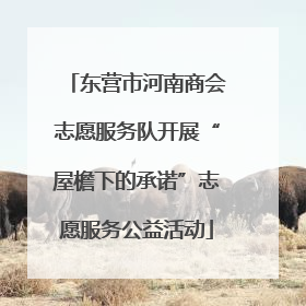 东营市河南商会志愿服务队开展“屋檐下的承诺”志愿服务公益活动