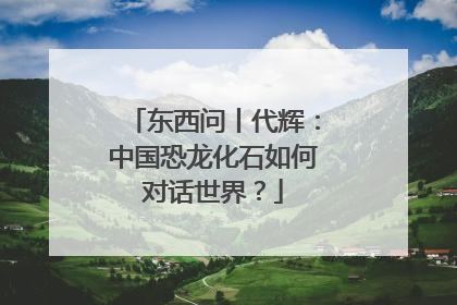 东西问丨代辉：中国恐龙化石如何对话世界？