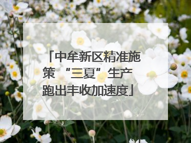 中牟新区精准施策 “三夏”生产跑出丰收加速度