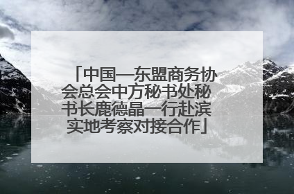 中国—东盟商务协会总会中方秘书处秘书长鹿德晶一行赴滨实地考察对接合作