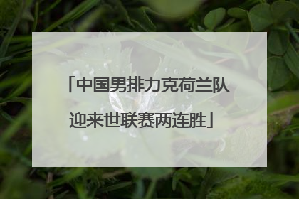 中国男排力克荷兰队 迎来世联赛两连胜