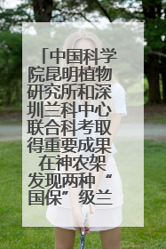 中国科学院昆明植物研究所和深圳兰科中心联合科考取得重要成果 在神农架发现两种“国保”级兰花