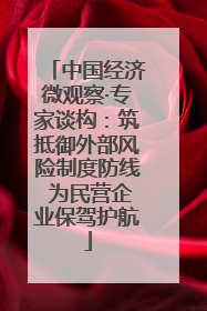 中国经济微观察·专家谈构：筑抵御外部风险制度防线 为民营企业保驾护航