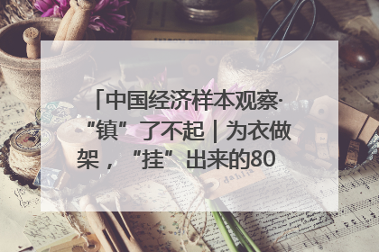 中国经济样本观察·“镇”了不起｜为衣做架，“挂”出来的80亿元“衣架产业”