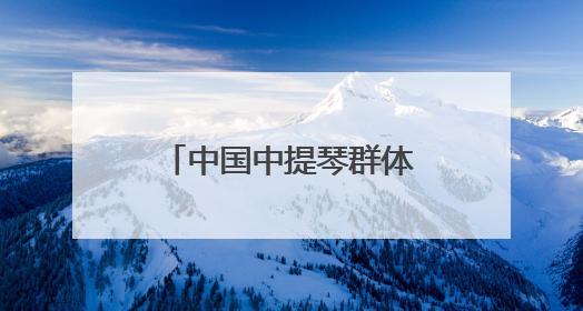 中国中提琴群体崛起缩影，上音学生林怡秀中提琴国际赛事夺冠