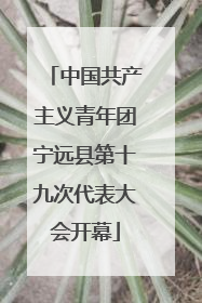 中国共产主义青年团宁远县第十九次代表大会开幕