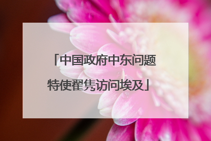 中国政府中东问题特使翟隽访问埃及