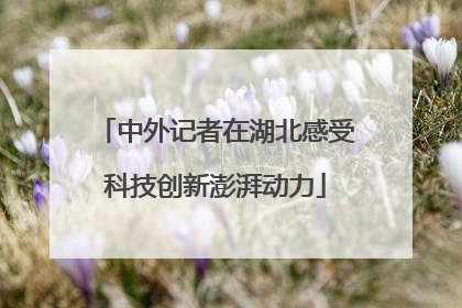 中外记者在湖北感受科技创新澎湃动力