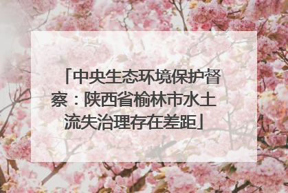 中央生态环境保护督察：陕西省榆林市水土流失治理存在差距