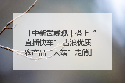 中新武威观｜搭上“直播快车” 古浪优质农产品“云端”走俏