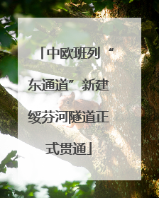 中欧班列“东通道”新建绥芬河隧道正式贯通