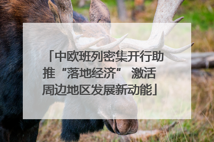 中欧班列密集开行助推“落地经济” 激活周边地区发展新动能
