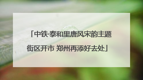 中铁·泰和里唐风宋韵主题街区开市 郑州再添好去处