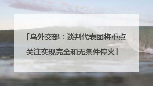 乌外交部：谈判代表团将重点关注实现完全和无条件停火