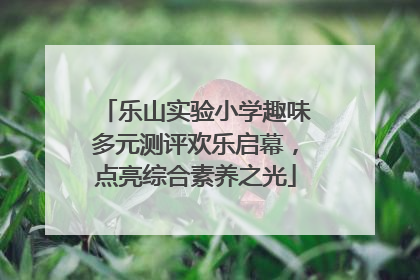 乐山实验小学趣味多元测评欢乐启幕，点亮综合素养之光