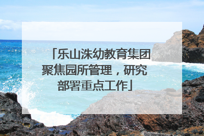 乐山洙幼教育集团聚焦园所管理，研究部署重点工作