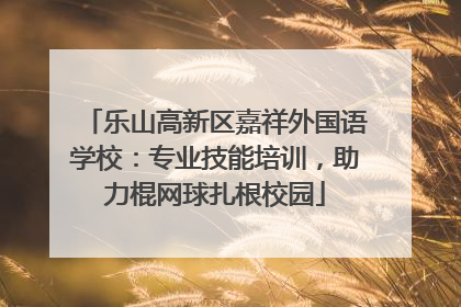 乐山高新区嘉祥外国语学校：专业技能培训，助力棍网球扎根校园
