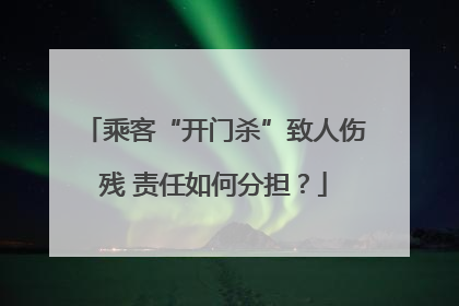乘客“开门杀”致人伤残 责任如何分担？