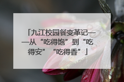 九江校园餐变革记——从“吃得饱”到“吃得安”“吃得香”