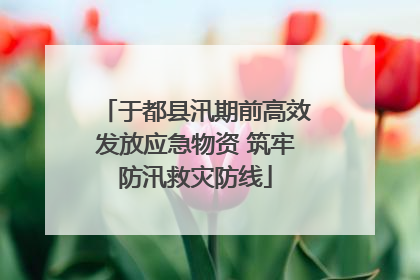 于都县汛期前高效发放应急物资 筑牢防汛救灾防线