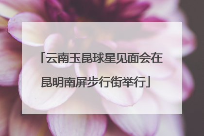 云南玉昆球星见面会在昆明南屏步行街举行