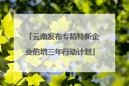 云南发布专精特新企业倍增三年行动计划