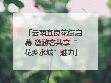云南宜良花街启幕 邀游客共享“花乡水城”魅力